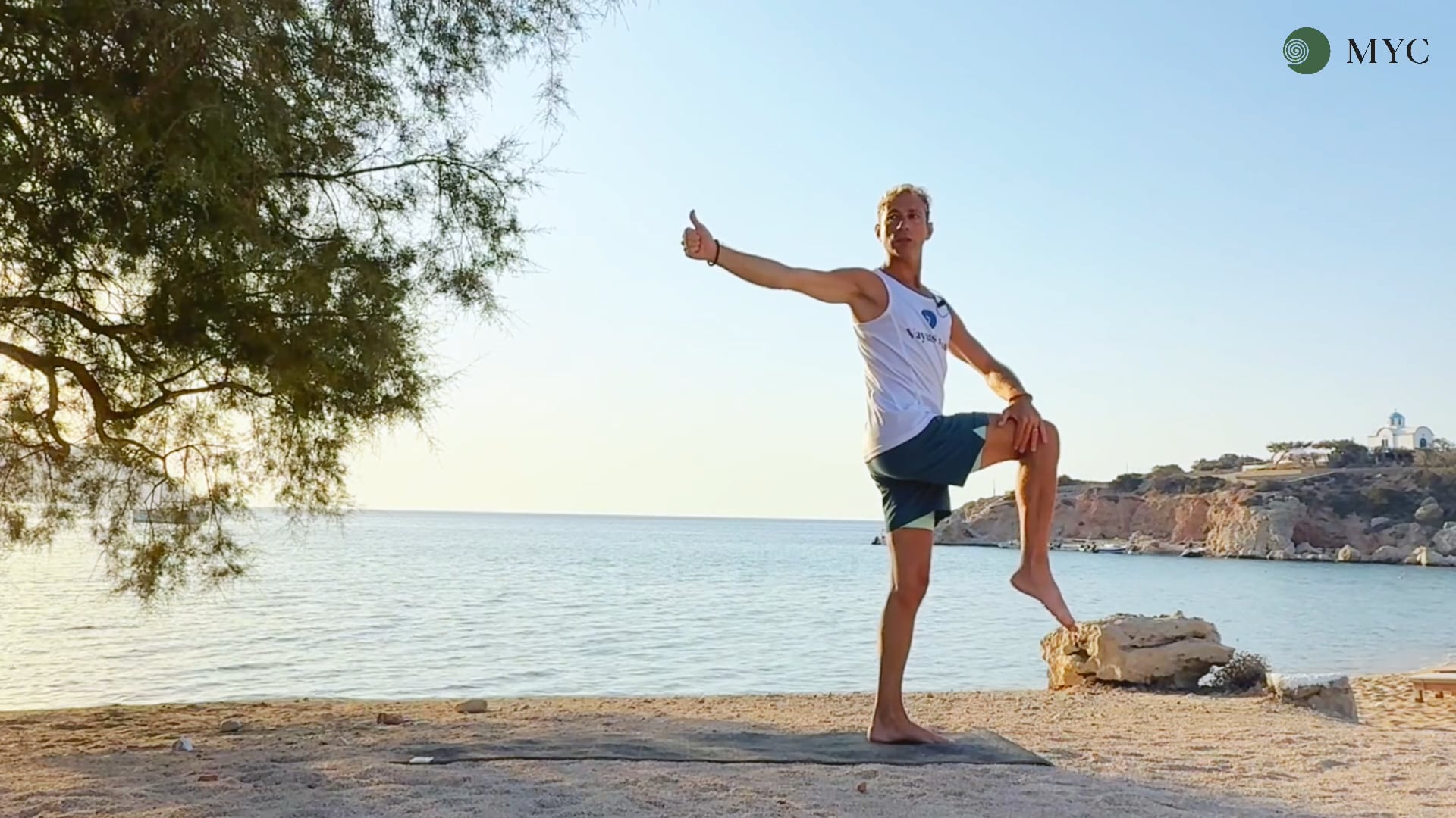Riattivazioni Bioenergetiche: Vyana Vayu e Ajna Chakra